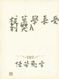 校草学长受被做到哭h