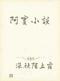 阿宾小说