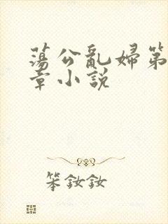 荡公乱妇第51章小说