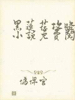 黑莲花攻略手册小说免费阅读全文