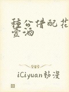 种公借配花间一壶酒