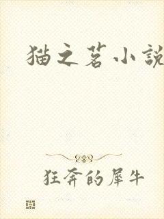 猫之茗小说