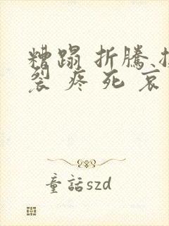 糟蹋 折腾 撕裂 疼 死 哀求封面