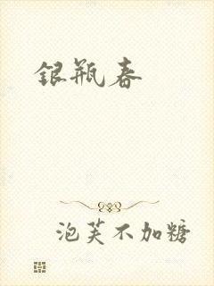 银瓶春封面