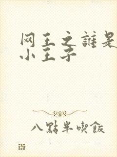 网王之谁是我的小王子