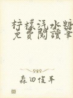 柠檬汽水糖全文免费阅读笔趣阁封面