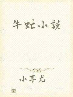 牛虻小说封面