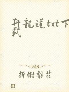 升龙道txt下载