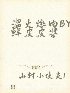 温火炖肉BY海鲜皮皮酱封面