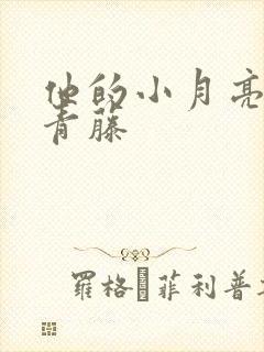 他的小月亮by青藤