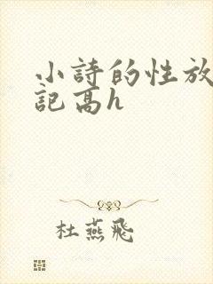 小诗的性放荡日记高h封面