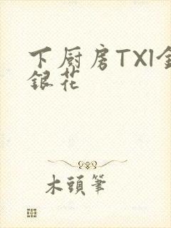 下厨房TXl金银花