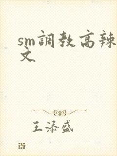 sm调教高辣h文