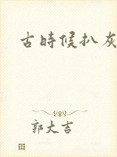 古时候扒灰小说封面