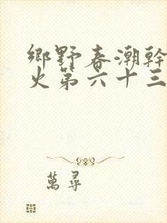 乡野春潮干柴烈火第六十三章封面