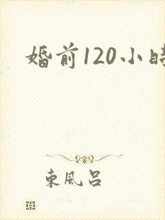 婚前120小时封面