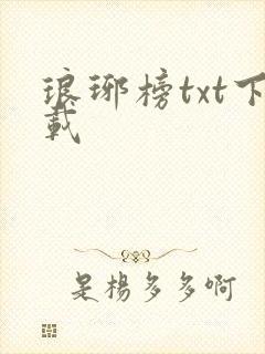琅琊榜txt下载