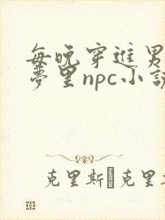 每晚穿进男神的梦里npc小说