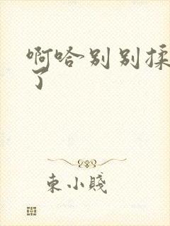 啊哈别别揉那处了封面