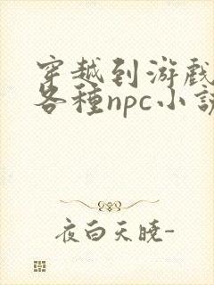 穿越到游戏里和各种npc小说封面