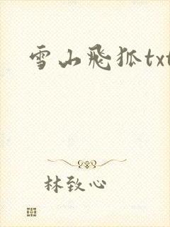 雪山飞狐txt