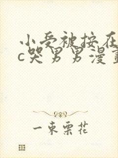 小受被按在墙上c哭男男漫画封面