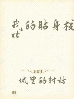 我的贴身校花txt封面