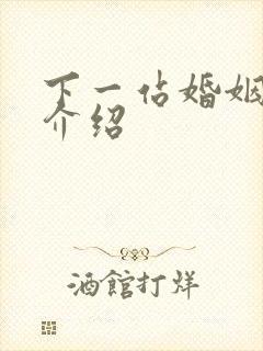 下一站婚姻剧情介绍