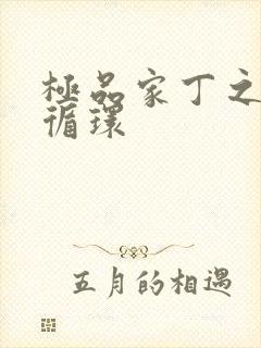 极品家丁之因果循环封面