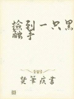 捡到一只黑心小触手