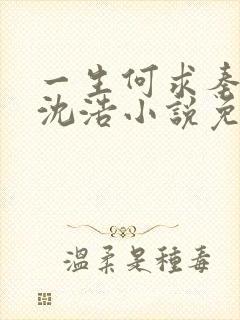 一生何求秦菲雪沈浩小说免费阅读全文笔趣阁封面