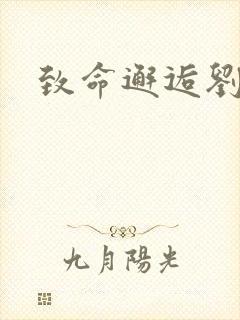 致命邂逅刘小寐