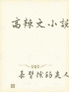 高辣文小说