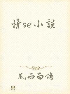 情se小说封面