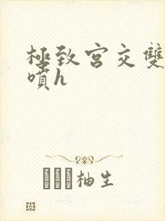 极致宫交双性潮喷h封面