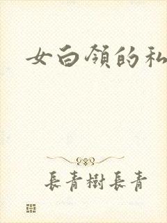 女白领的私生活