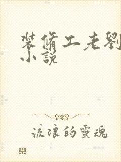 装修工老刘林雪小说