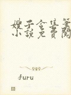 嫂子合集笔趣阁小说免费阅读