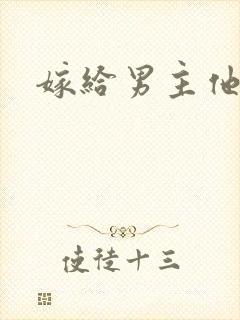 嫁给男主他爹封面