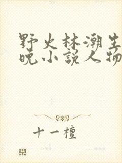 野火林潮生林晚晚小说人物野火