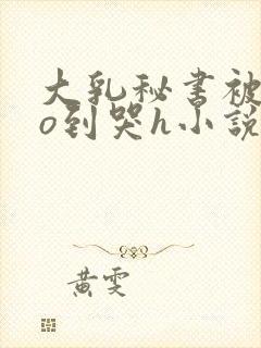 大乳秘书被cao到哭h小说封面