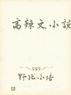 高辣文小说