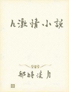 h激情小说