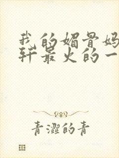 我的媚骨妈妈林轩最火的一句