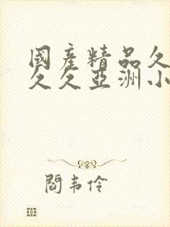 国产精品久久久久久亚洲小说