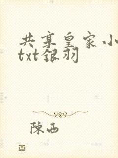 共享皇家小公主txt银羽