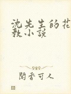 沈先生的花式管教小说