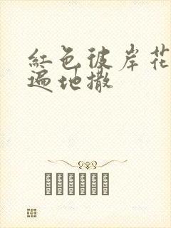 红色彼岸花花瓣遍地撒封面