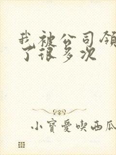 我被公司领导C了很多次封面