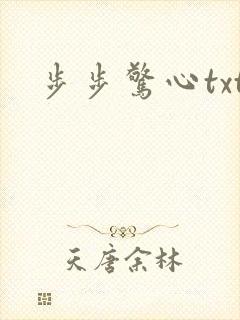 步步惊心txt